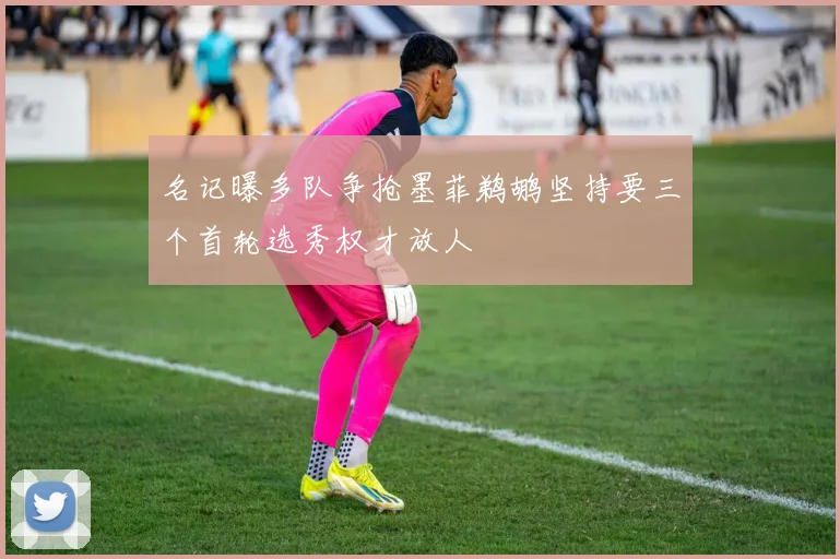 名记曝多队争抢墨菲鹈鹕坚持要三个首轮选秀权才放人