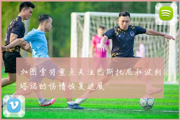 加图索将重点关注巴斯托尼和波利塔诺的伤情恢复进展